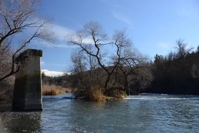 DSC_1091 (Large).JPG